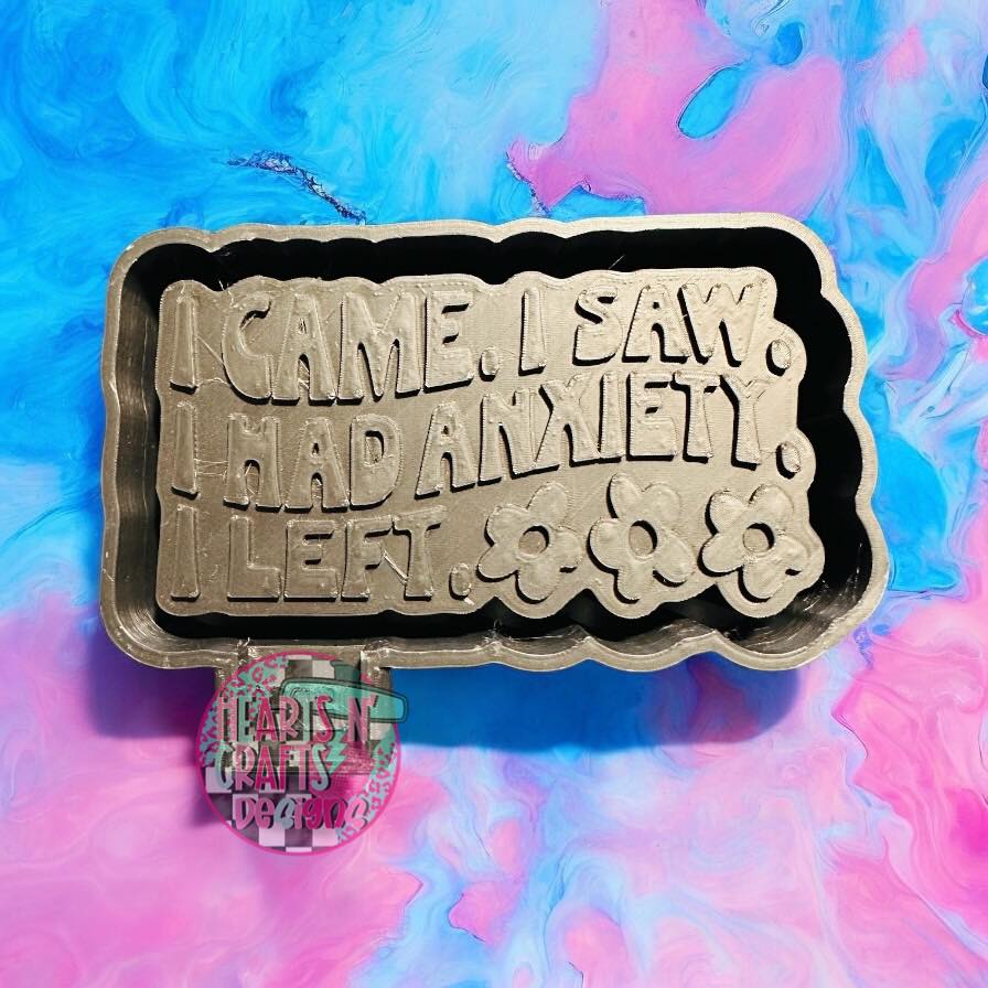 I Came, I Saw, I Had Anxiety, I Left Silicone Mold